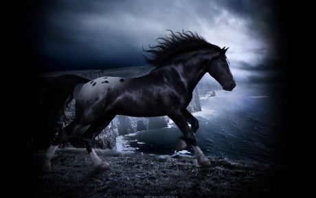 black-horse-wolf-fantasy-horses-1920x1200-wallpaper436795